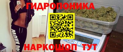 индика Янаул